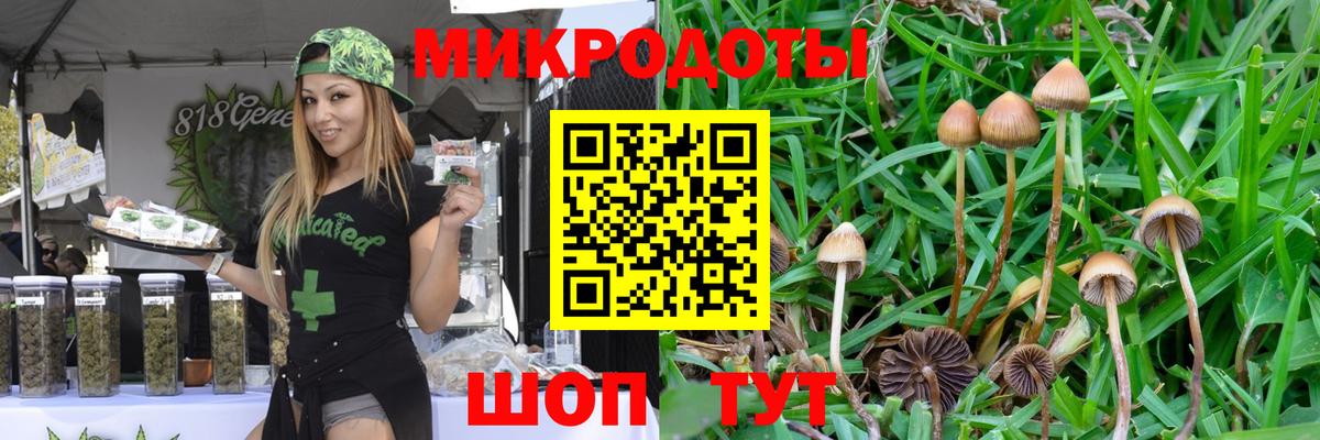 Галлюциногенные грибы MAGIC MUSHROOMS  Вход с VPN  Нижнеудинск 