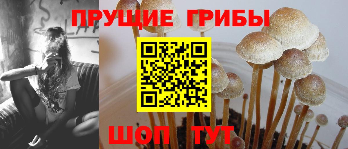 Галлюциногенные грибы мухоморы Нижнеудинск